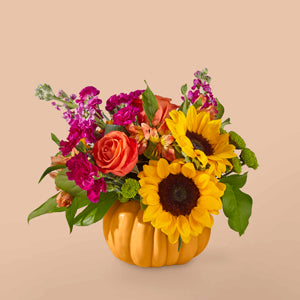Bippity Boppity Pumpkin – DIVINE FLORAL & GIFTS, Arlington TX