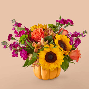 Bippity Boppity Pumpkin – DIVINE FLORAL & GIFTS, Arlington TX