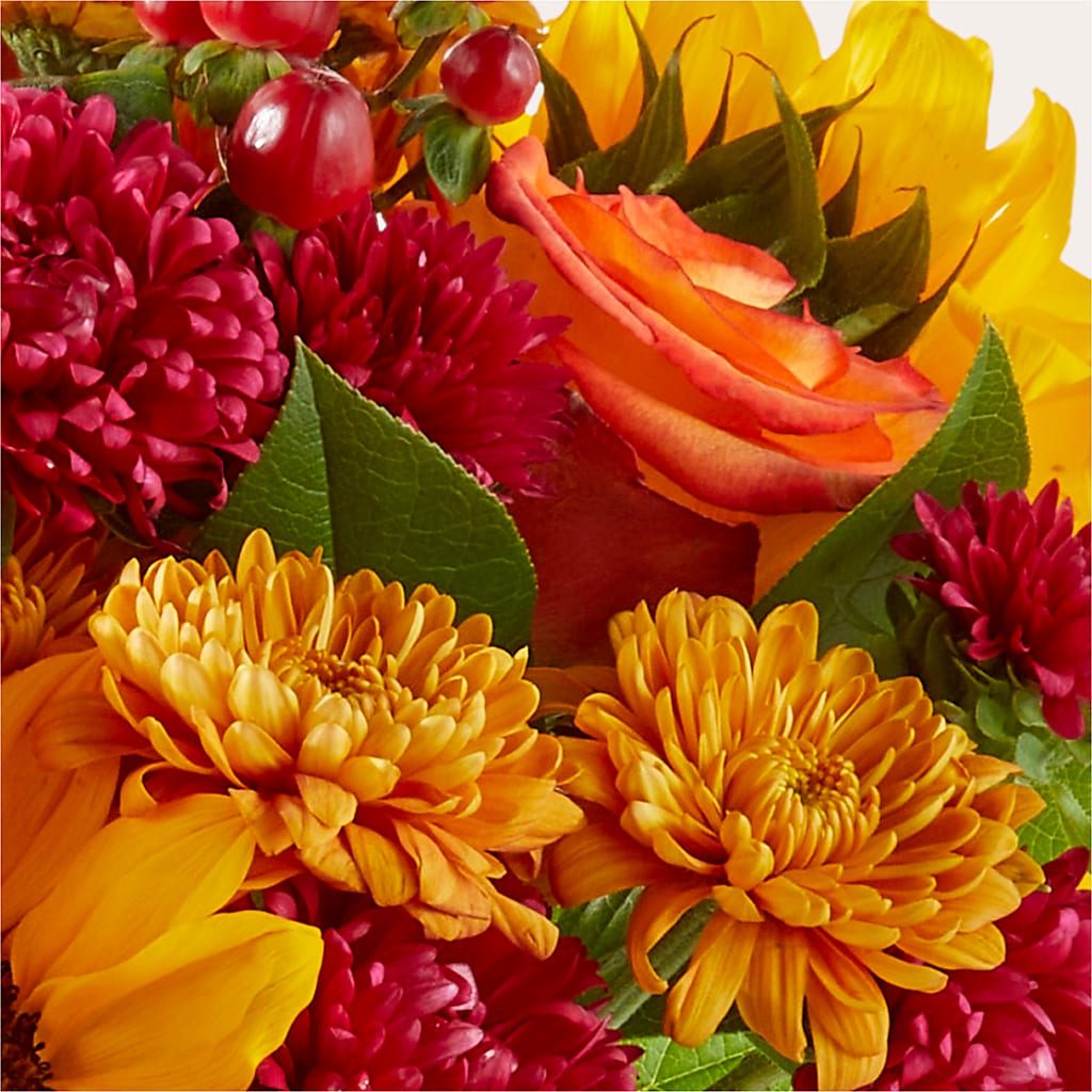 Sweater Season - A Florist Original – DIVINE FLORAL & GIFTS, Arlington TX