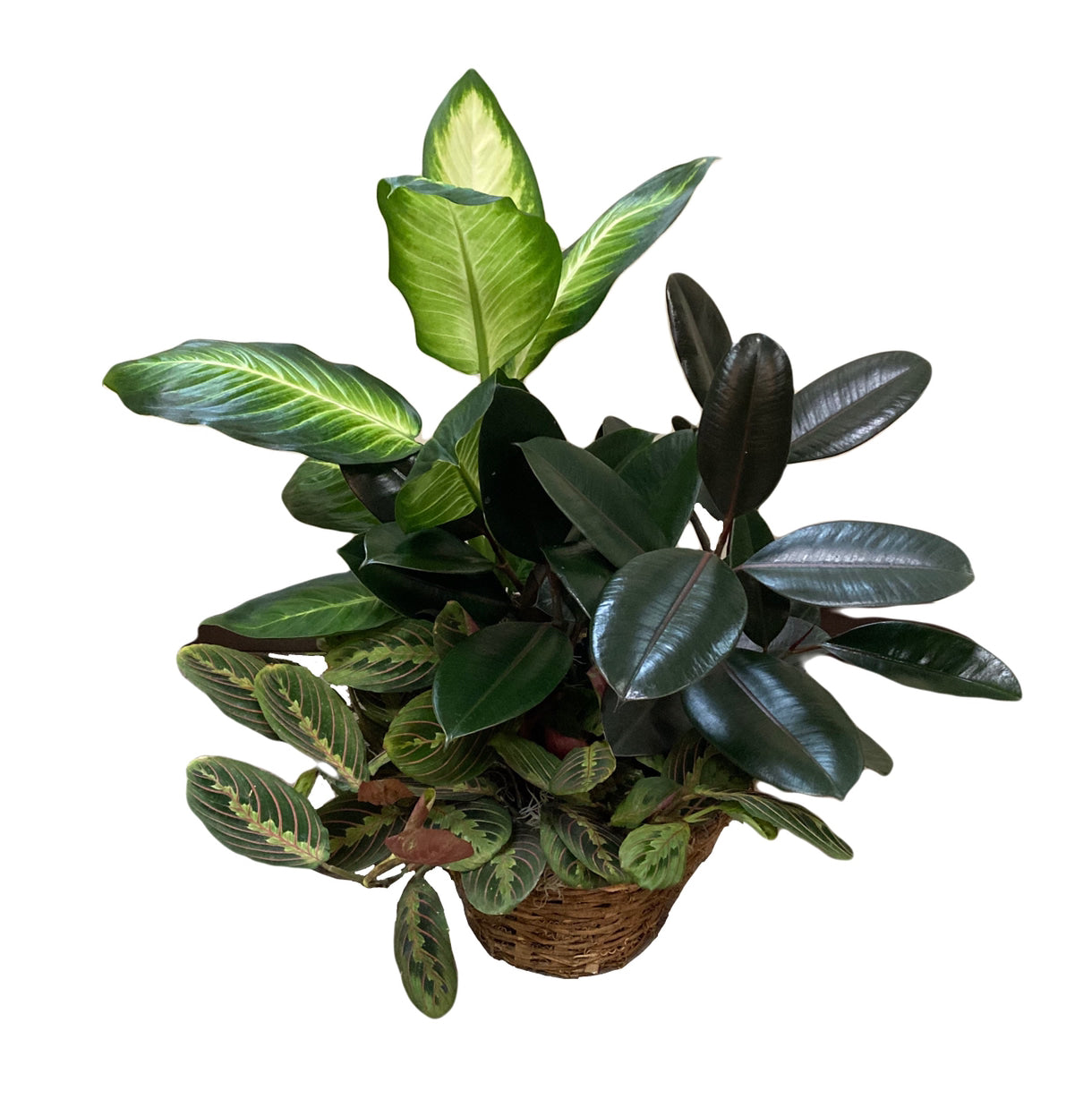 Triple Plant Basket – DIVINE FLORAL & GIFTS, Arlington TX