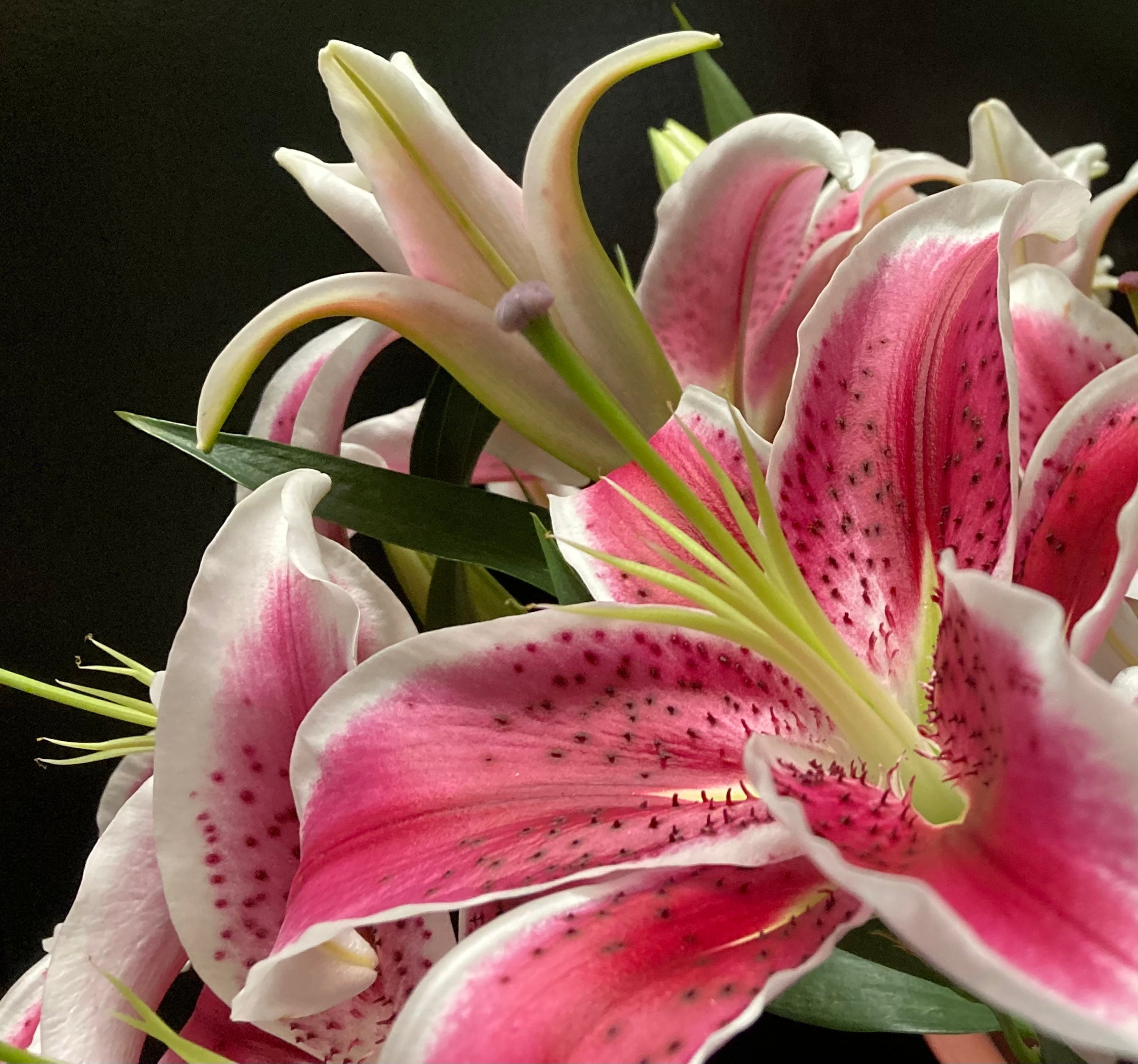 pink tiger lily bouquet Stargazer Lily Bouquet – pink flower arrangement | Arlington, TX