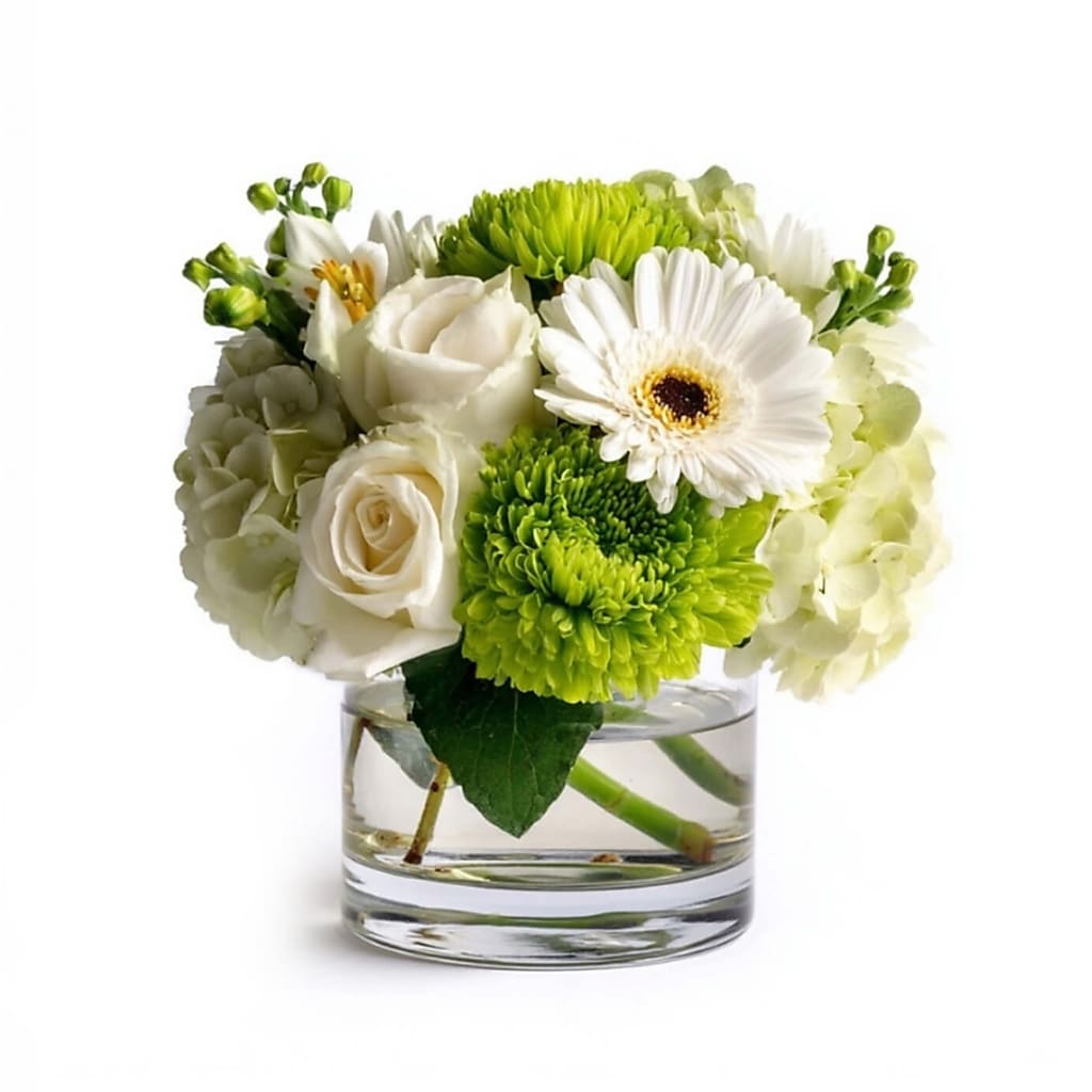 Fresh Fortune – DIVINE FLORAL & GIFTS, Arlington TX