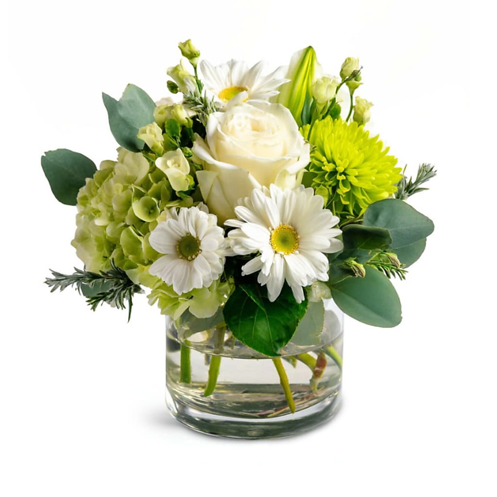Leprechaun's Charm – DIVINE FLORAL & GIFTS, Arlington TX