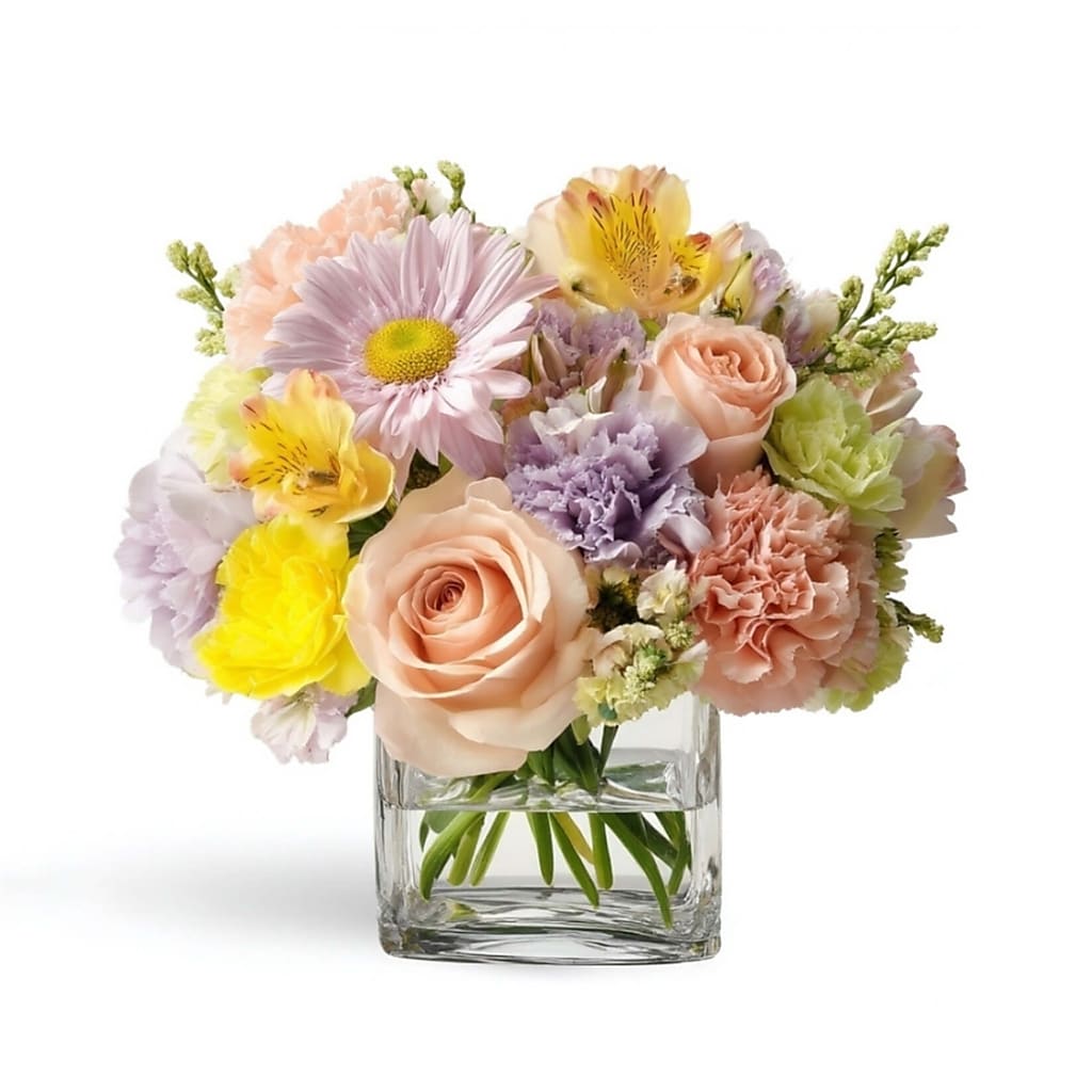 Sorbet – DIVINE FLORAL & GIFTS, Arlington TX