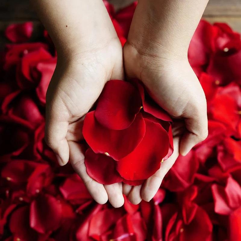 Rose Petals