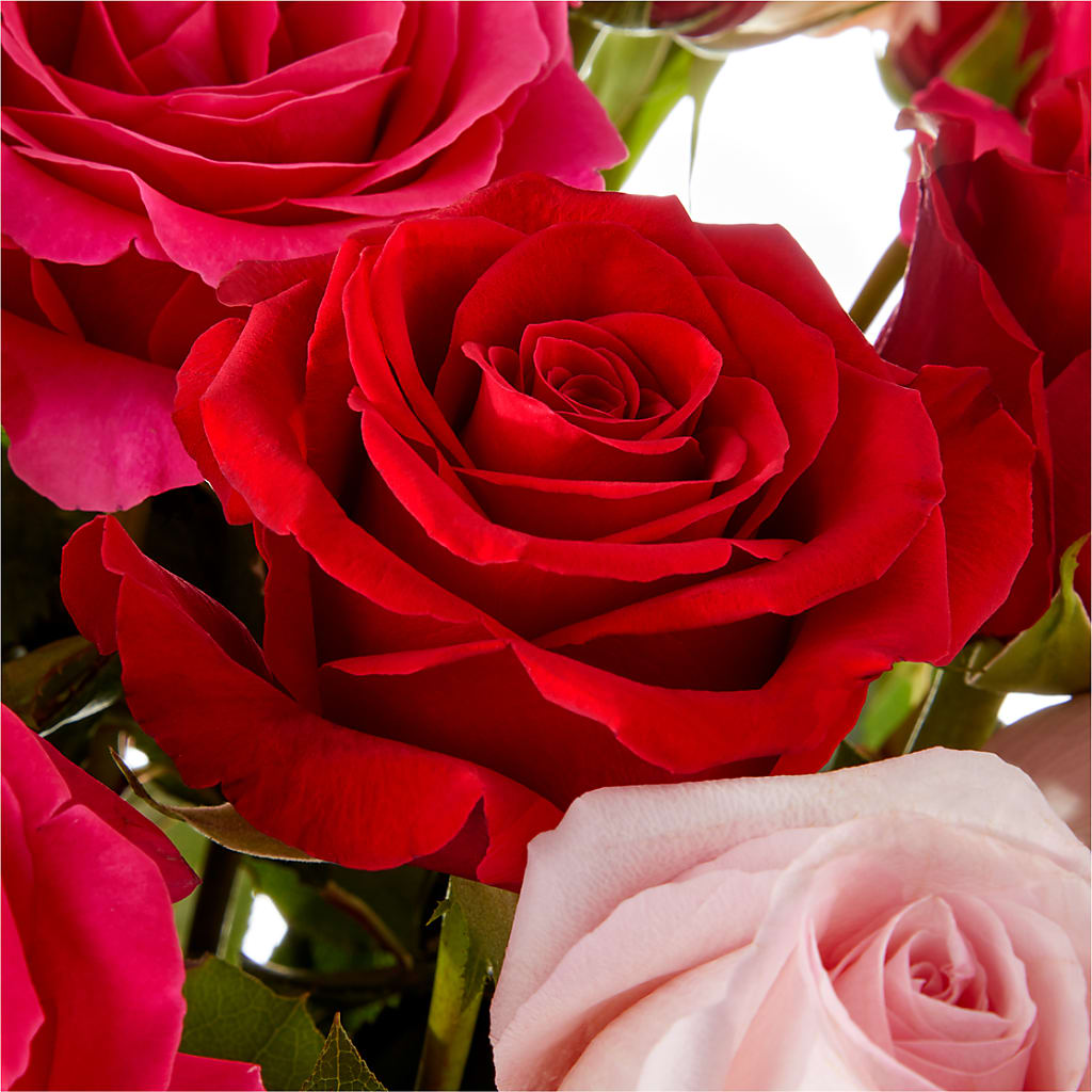 Love Notes Rose Bouquet – DIVINE FLORAL & GIFTS, Arlington TX
