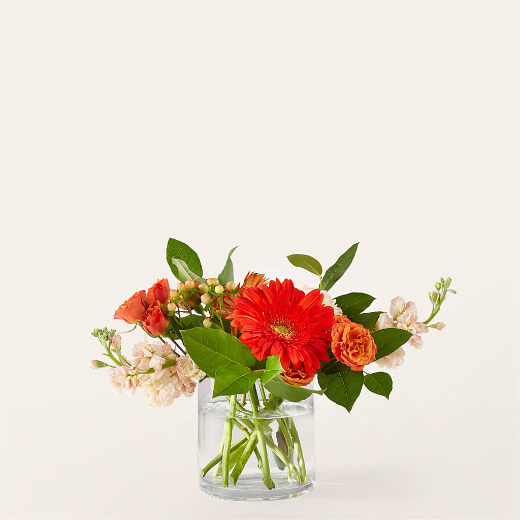Paloma Please Bouquet – DIVINE FLORAL & GIFTS, Arlington TX