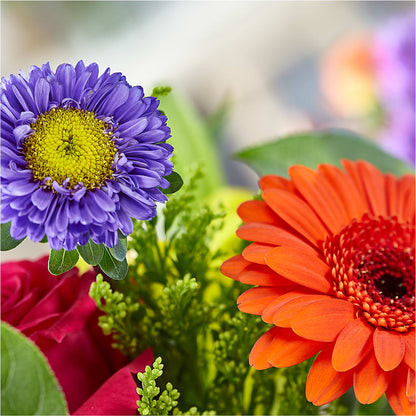 Bold & Bright – A Florist Original – DIVINE FLORAL & GIFTS, Arlington TX