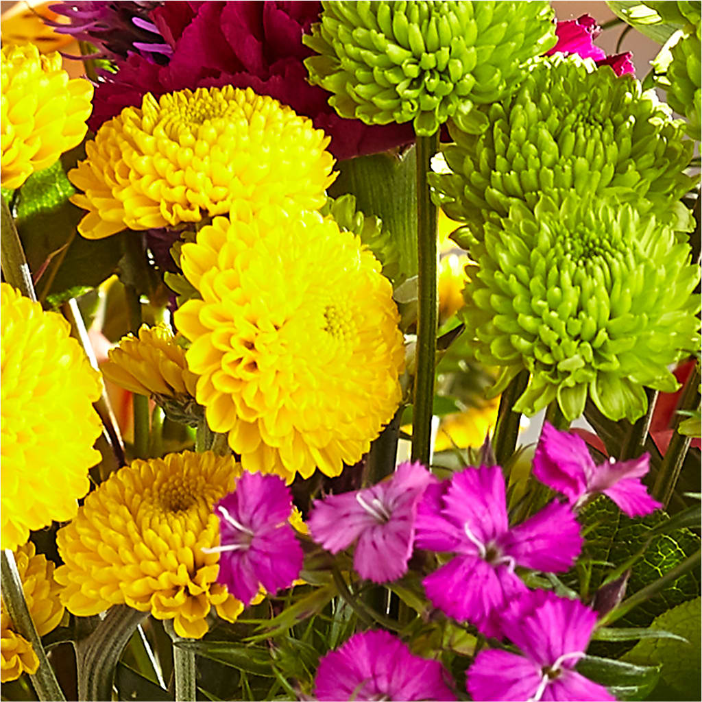 Bold & Bright – A Florist Original – DIVINE FLORAL & GIFTS, Arlington TX