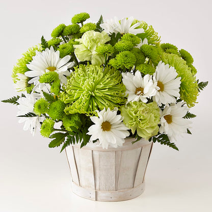 Lucky Charm Basket (Standard) – DIVINE FLORAL & GIFTS, Arlington TX