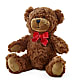 Adorable Plush Bear – DIVINE FLORAL & GIFTS, Arlington TX