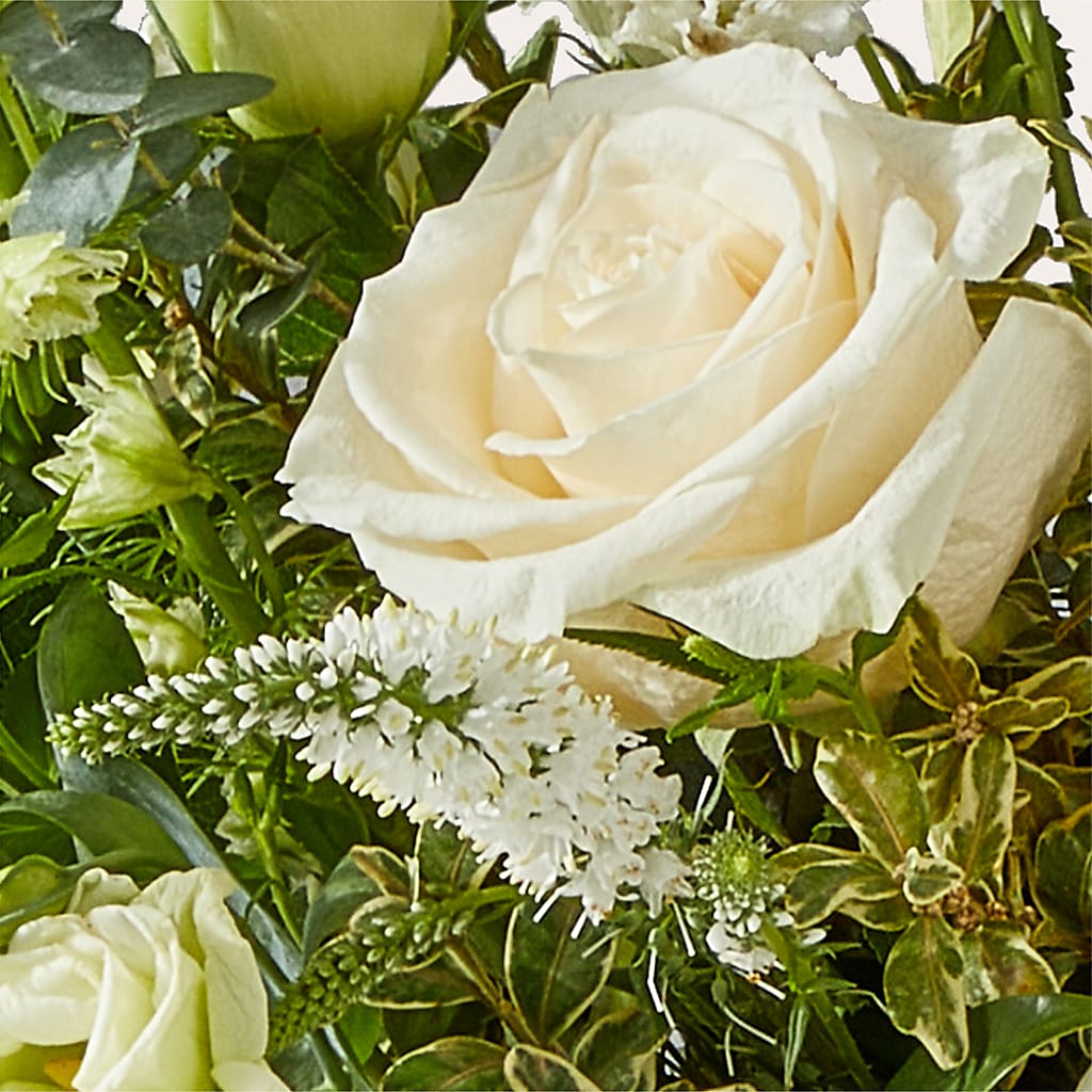 Cashmere Bouquet – DIVINE FLORAL & GIFTS, Arlington TX