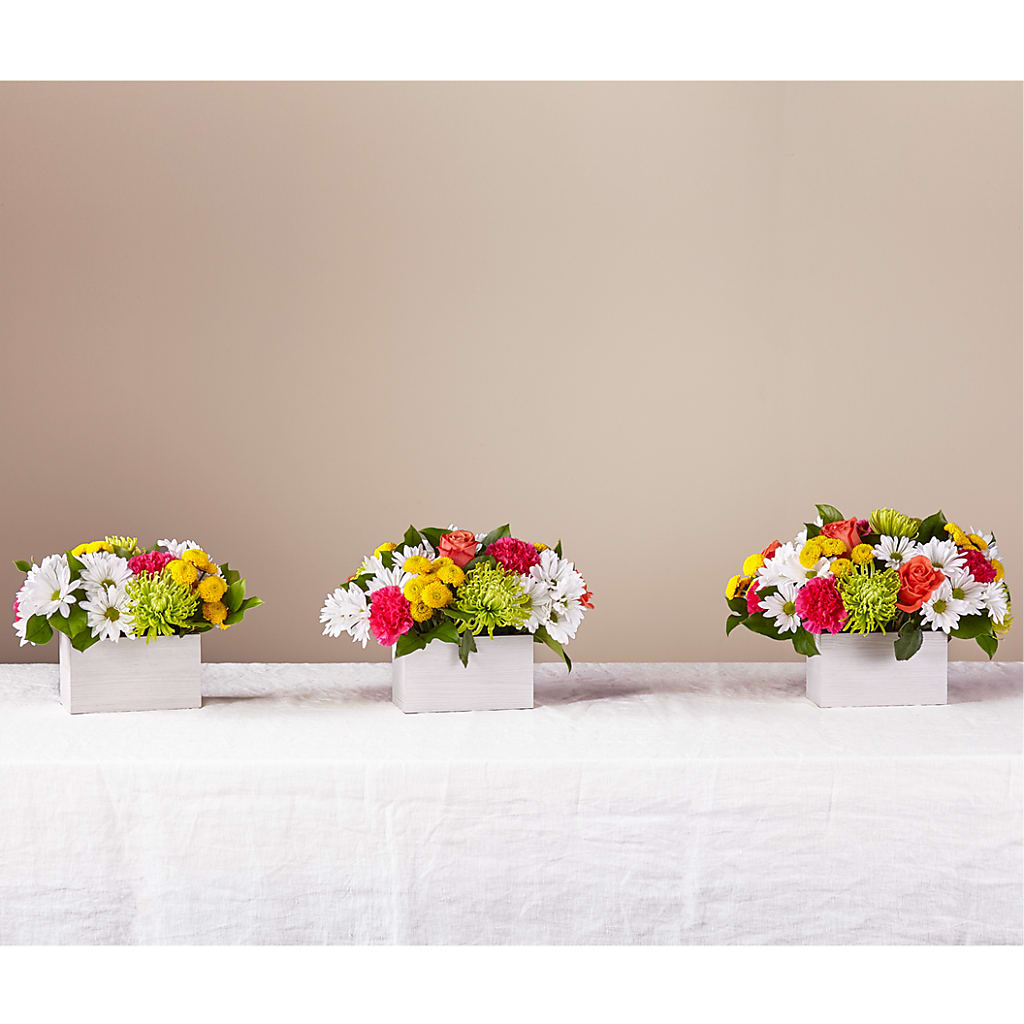 Sorbet Bouquet – DIVINE FLORAL & GIFTS, Arlington TX