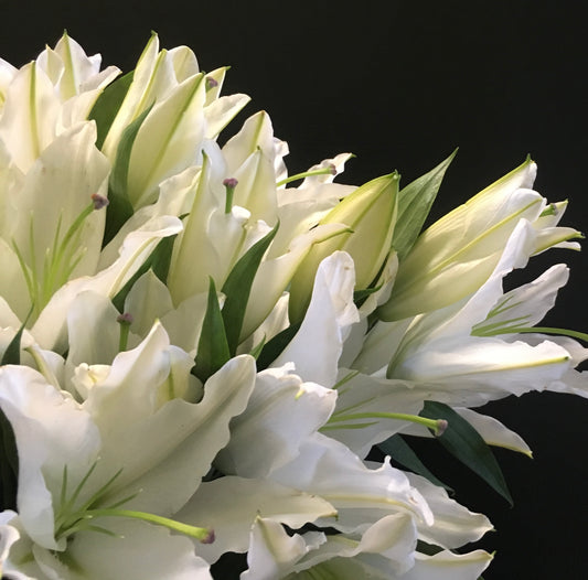 Classic White Lily Bouquet