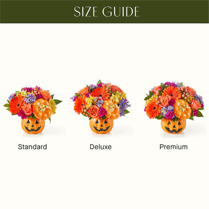 Tricks & Treats Pumpkin – DIVINE FLORAL & GIFTS, Arlington TX