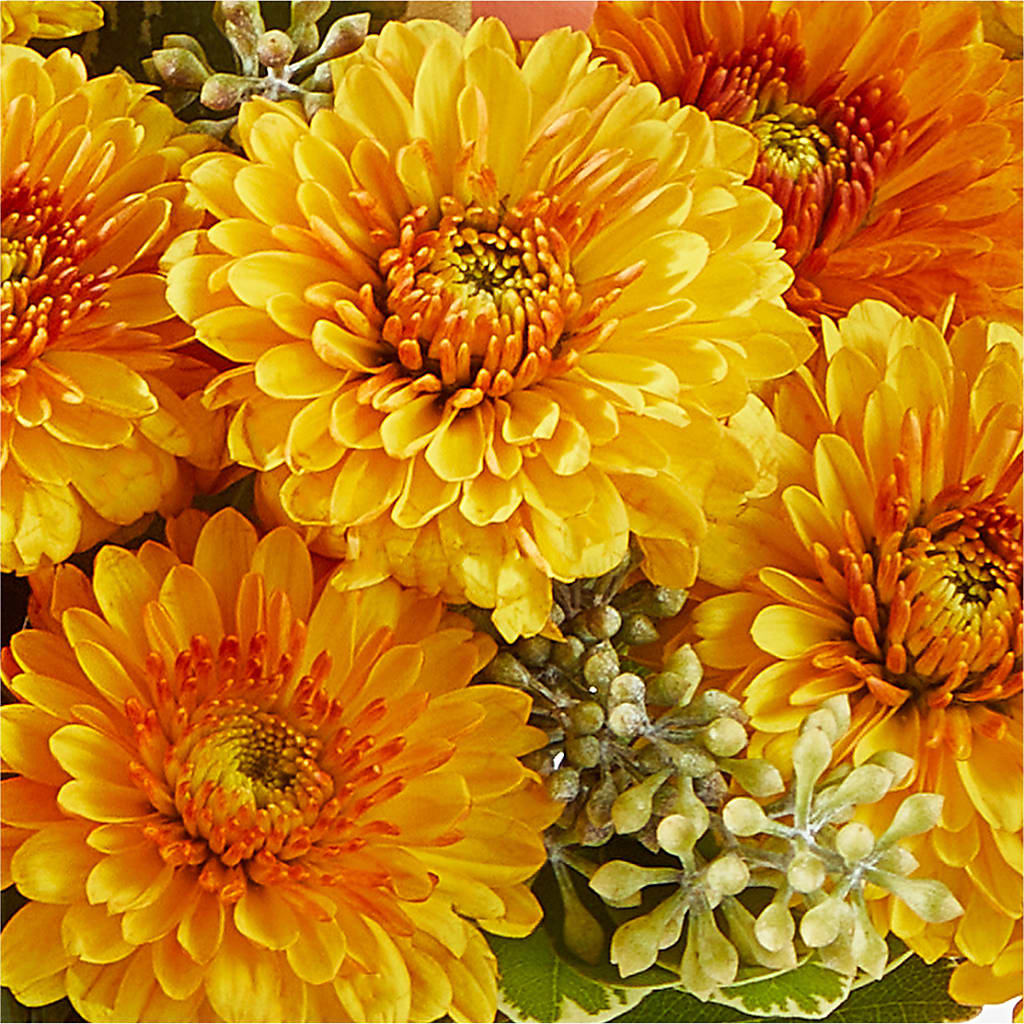 Peachy Pumpkin – DIVINE FLORAL & GIFTS, Arlington TX