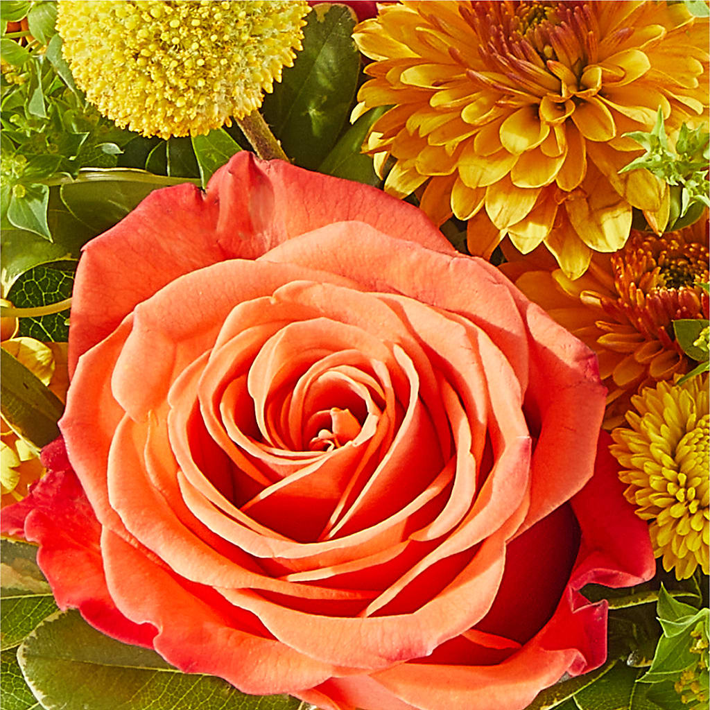 Gourdgeous Pumpkin – DIVINE FLORAL & GIFTS, Arlington TX