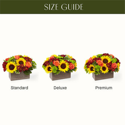 Happy Harvest Garden – DIVINE FLORAL & GIFTS, Arlington TX