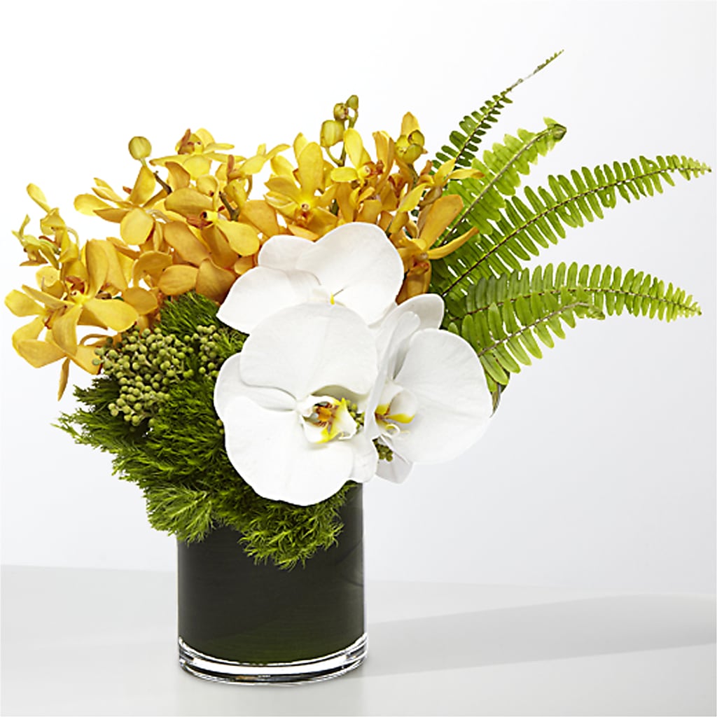 The Tropics – DIVINE FLORAL & GIFTS, Arlington TX