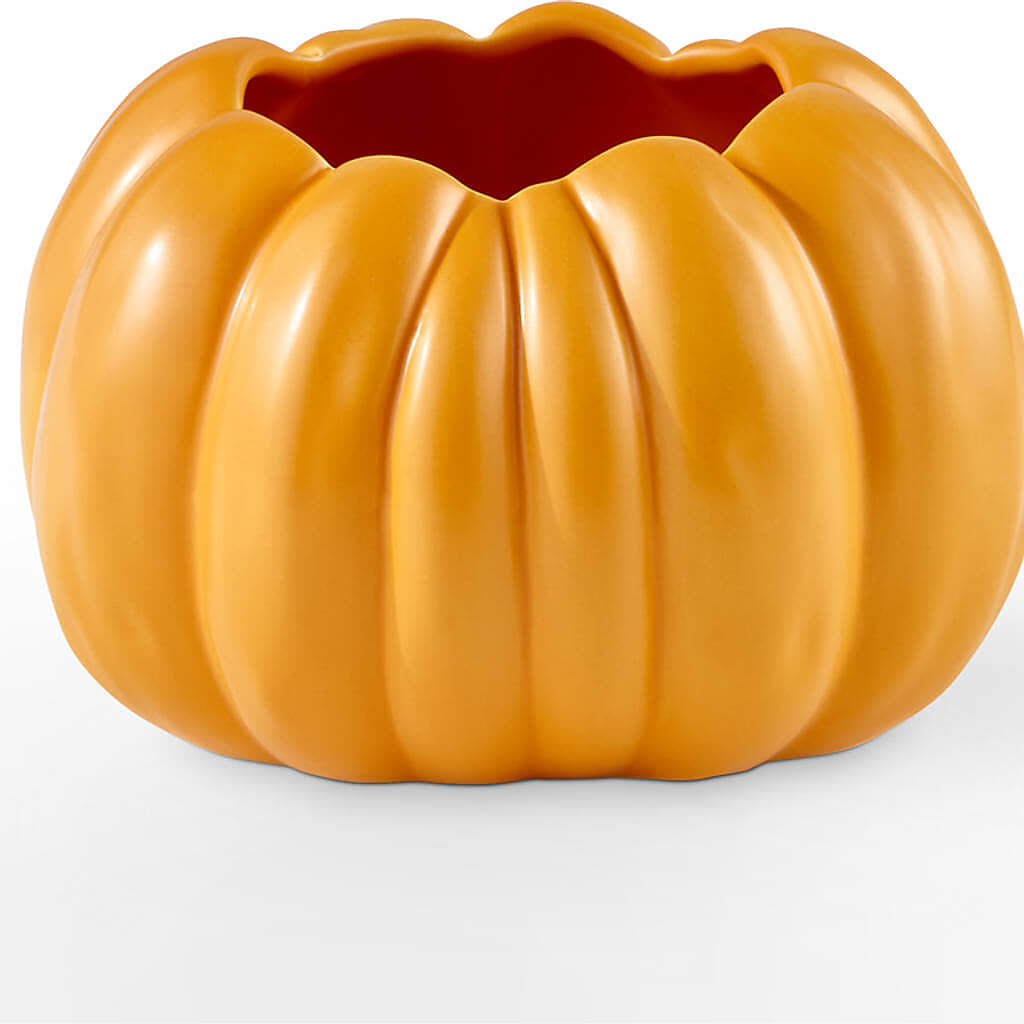 Golden Gourd Pumpkin Bouquet – DIVINE FLORAL & GIFTS, Arlington TX