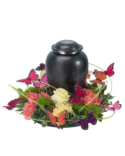 Beautiful Butterfly Simple Surround – DIVINE FLORAL & GIFTS, Arlington TX