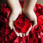 Divine Floral, Gifts and Flower Delivery