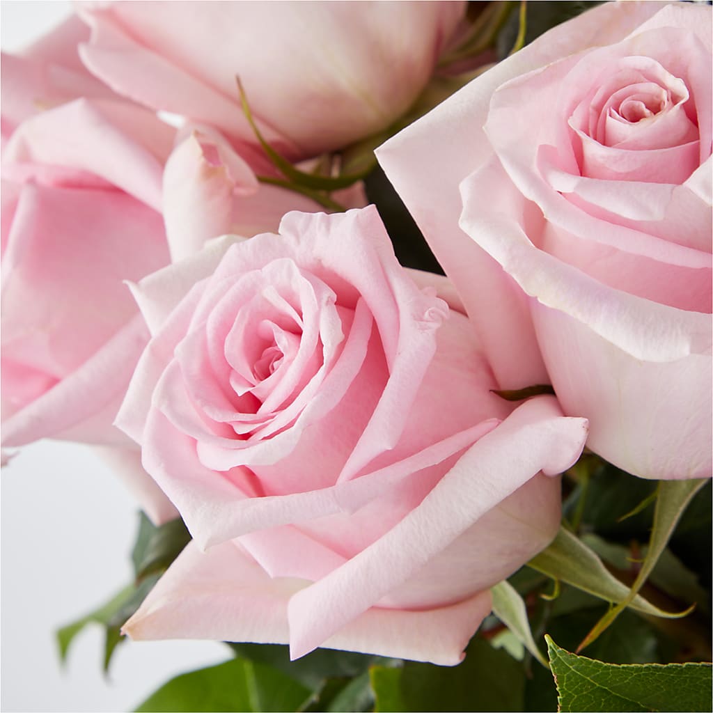 Picture Perfect Pink Rose Bouquet – DIVINE FLORAL & GIFTS, Arlington TX