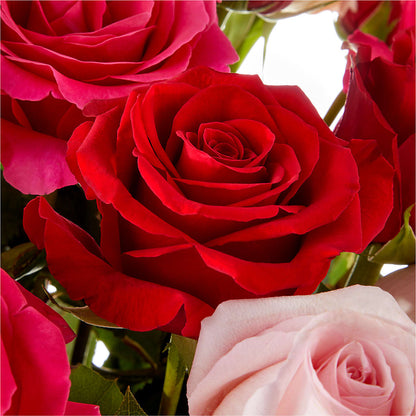 Love Notes Rose Bouquet – DIVINE FLORAL & GIFTS, Arlington TX