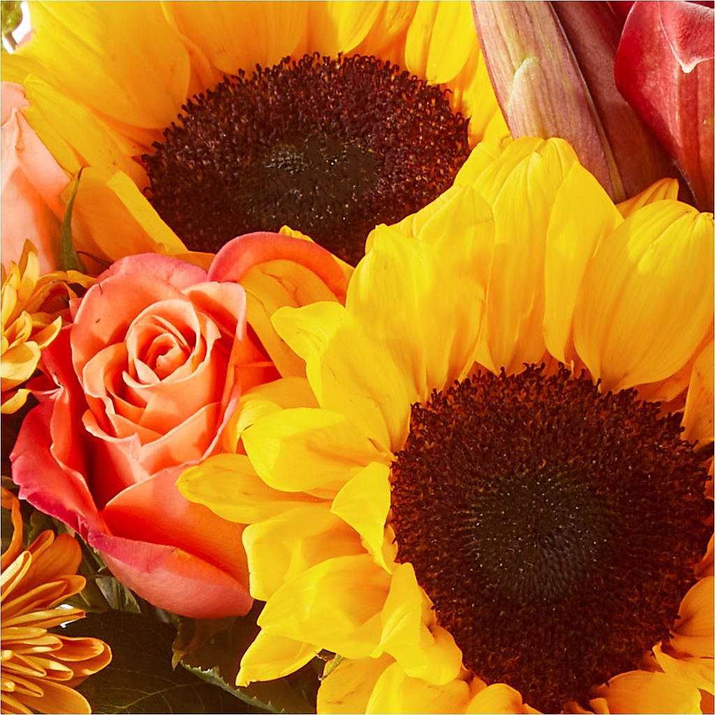 Acorn Lane Bouquet – DIVINE FLORAL & GIFTS, Arlington TX