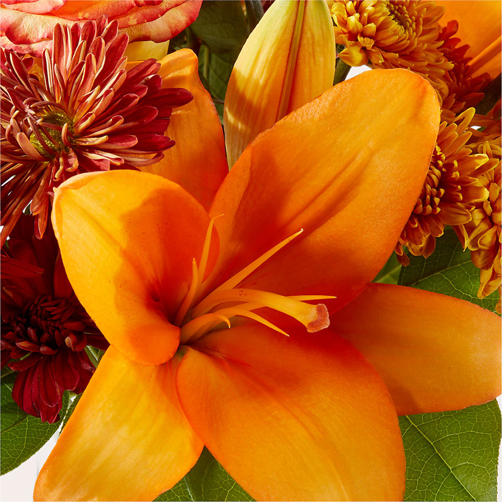 Autumnal Aroma Bouquet – DIVINE FLORAL & GIFTS, Arlington TX