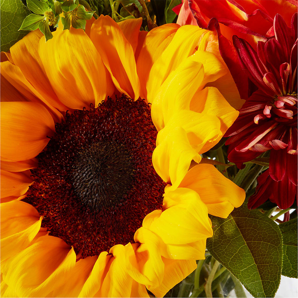 Harvest Festival Bouquet – DIVINE FLORAL & GIFTS, Arlington TX