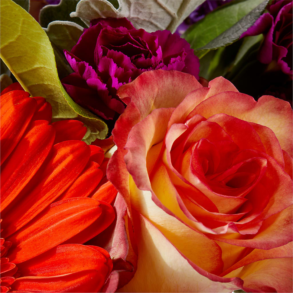 Sangria Bouquet – DIVINE FLORAL & GIFTS, Arlington TX