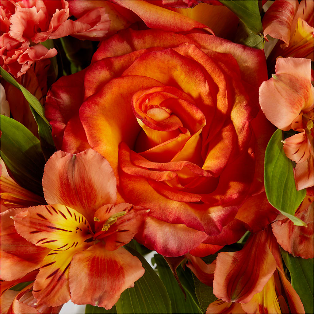 Apricot Glow Bouquet – DIVINE FLORAL & GIFTS, Arlington TX