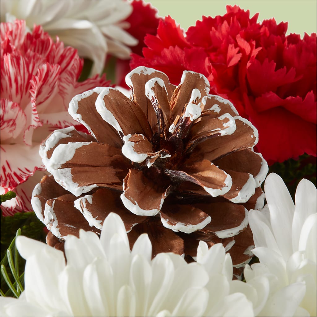Candy Cane Lane Bouquet – DIVINE FLORAL & GIFTS, Arlington TX