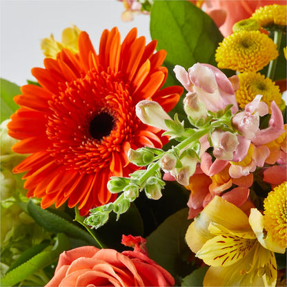 Autumn Sunshine Bouquet – DIVINE FLORAL & GIFTS, Arlington TX
