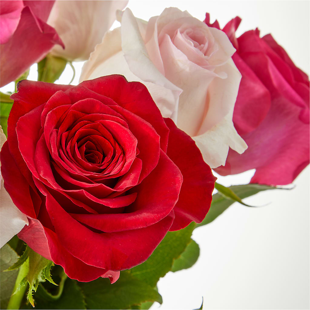 Charming Rose Bouquet – DIVINE FLORAL & GIFTS, Arlington TX