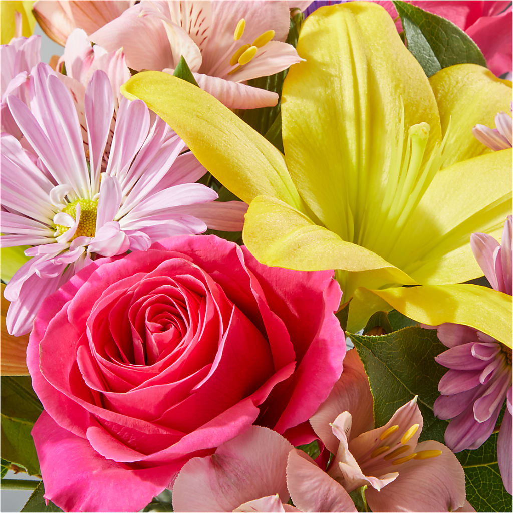 Sprinkles Bouquet – DIVINE FLORAL & GIFTS, Arlington TX