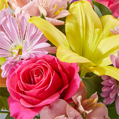 Sprinkles Bouquet – DIVINE FLORAL & GIFTS, Arlington TX