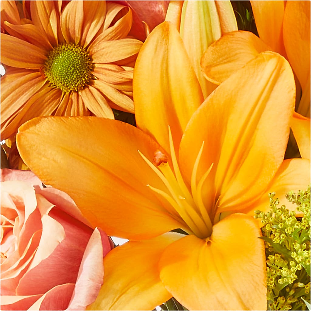 Harvest Hayride Bouquet – DIVINE FLORAL & GIFTS, Arlington TX