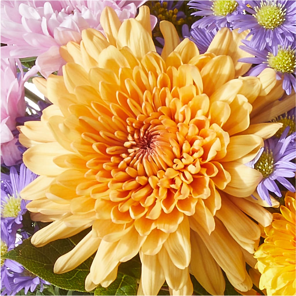 Countryside Bouquet – DIVINE FLORAL & GIFTS, Arlington TX