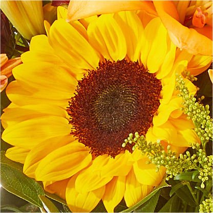 Seasons Change Bouquet – DIVINE FLORAL & GIFTS, Arlington TX