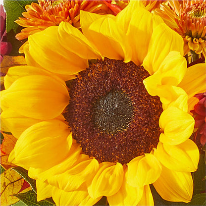 Sunny Side Bouquet – DIVINE FLORAL & GIFTS, Arlington TX