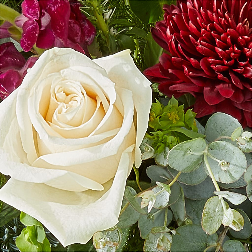 Cranberry Fizz Bouquet – DIVINE FLORAL & GIFTS, Arlington TX