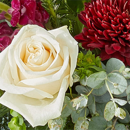 Cranberry Fizz Bouquet – DIVINE FLORAL & GIFTS, Arlington TX