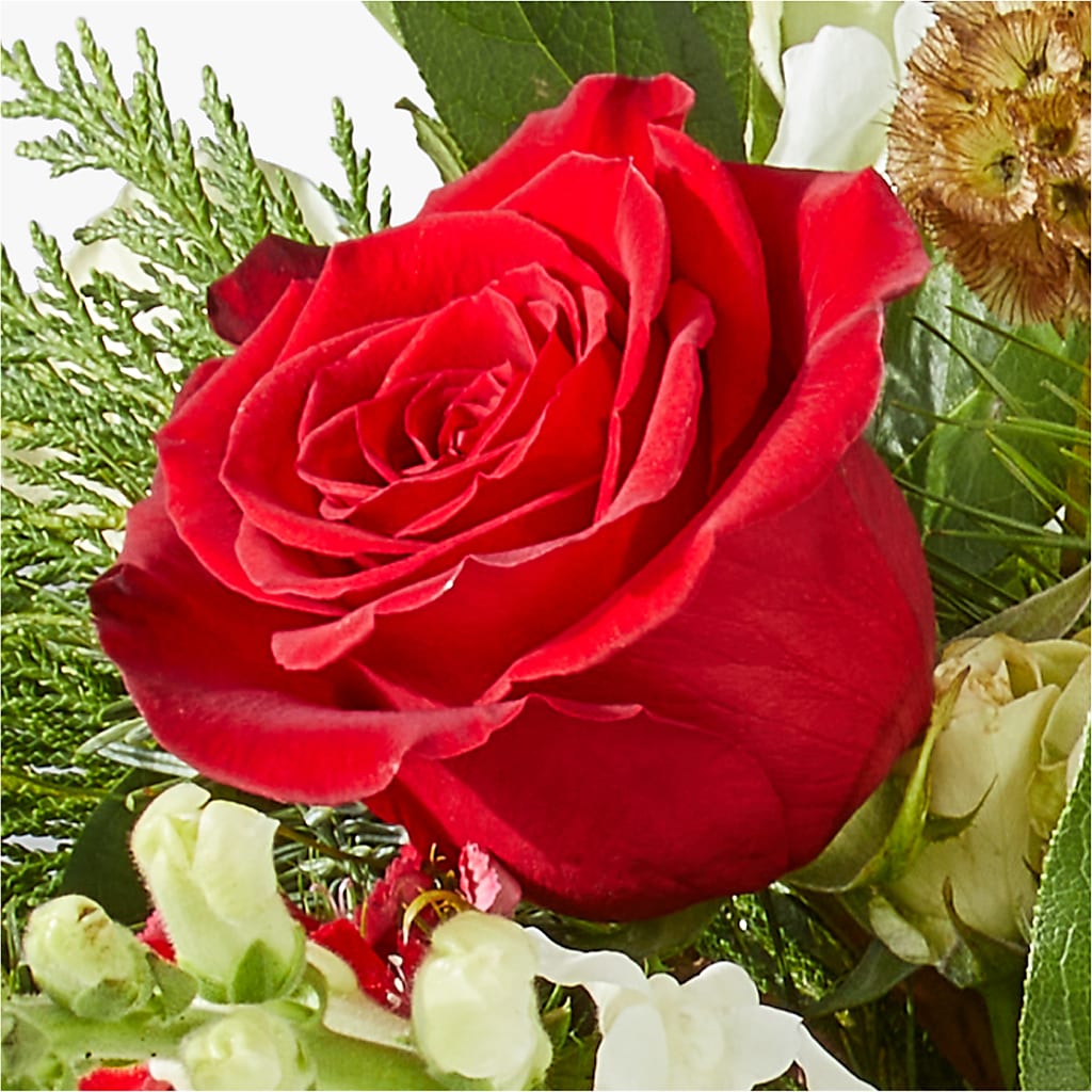 Deck the Halls Bouquet – DIVINE FLORAL & GIFTS, Arlington TX