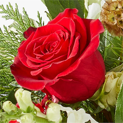 Deck the Halls Bouquet – DIVINE FLORAL & GIFTS, Arlington TX