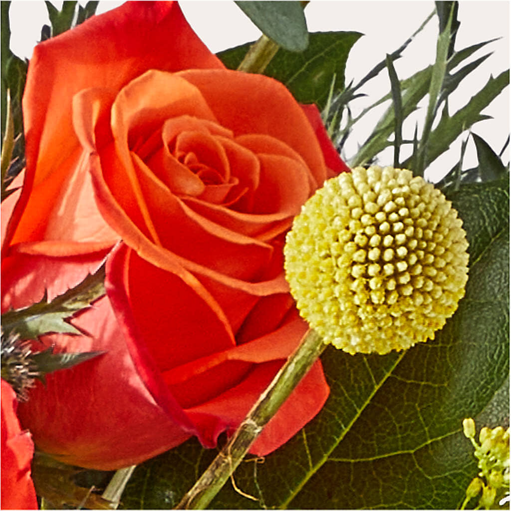 Disco Bouquet – DIVINE FLORAL & GIFTS, Arlington TX