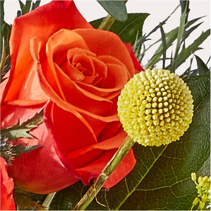 Disco Bouquet – DIVINE FLORAL & GIFTS, Arlington TX