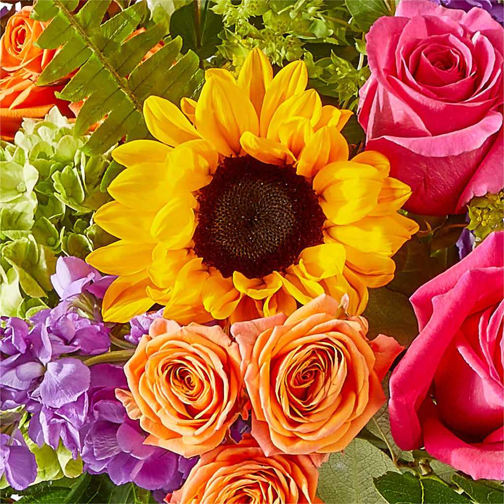 Vibrant Greetings Bouquet – DIVINE FLORAL & GIFTS, Arlington TX