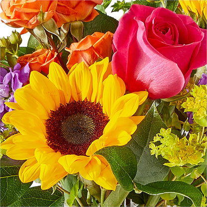 Vibrant Greetings Bouquet – DIVINE FLORAL & GIFTS, Arlington TX